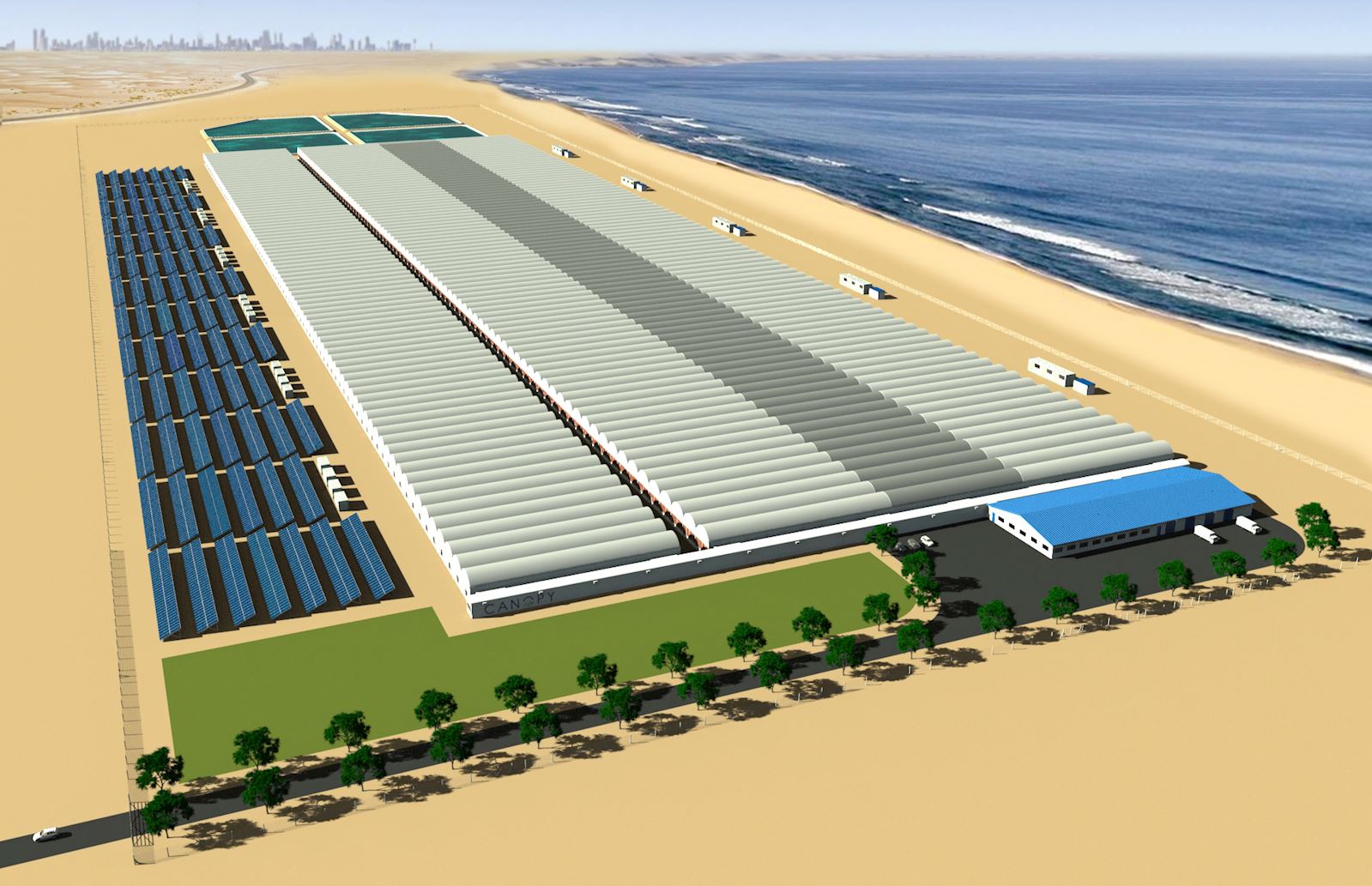 OBBC SPOTLIGHT ON Canopy 'From Death Threats to Tomatoes'