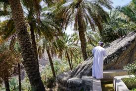 INSIGHT Gastronomy of Oman 