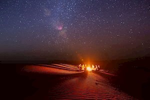 INSIGHT Winds of Change (OBO)